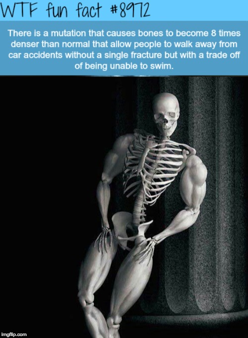 Spooky Swol Skeleton thicc bones meme | image tagged in spooky scary skeleton,swole | made w/ Imgflip meme maker