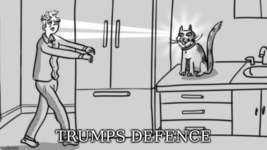 hypnotized | TRUMPS DEFENCE | image tagged in hypnotized | made w/ Imgflip meme maker
