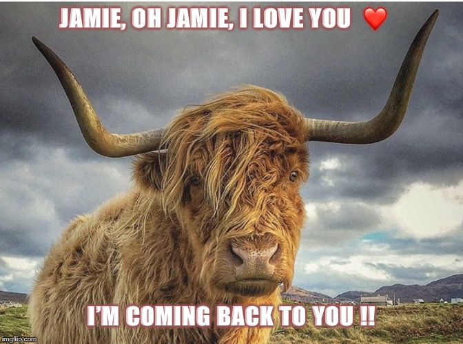 Going through the stones2 | JAMIE, OH JAMIE, I LOVE YOU  ❤️; I’M COMING BACK TO YOU !! | image tagged in going through the stones2 | made w/ Imgflip meme maker