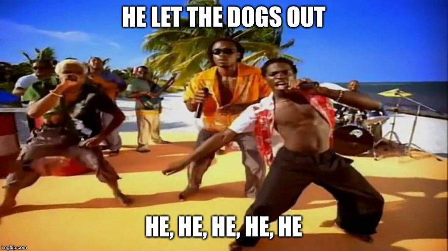 Who let the dogs out  | HE LET THE DOGS OUT HE, HE, HE, HE, HE | image tagged in who let the dogs out | made w/ Imgflip meme maker