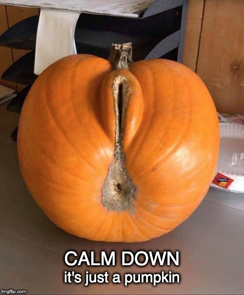 High Quality pumpkin Blank Meme Template