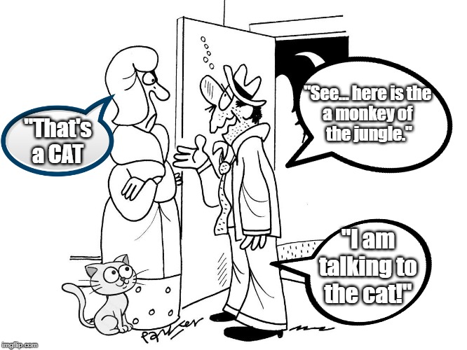drunken husband | "See... here is the 
a monkey of 
the jungle."; "That's 
a CAT; "I am talking to the cat!" | image tagged in cats | made w/ Imgflip meme maker
