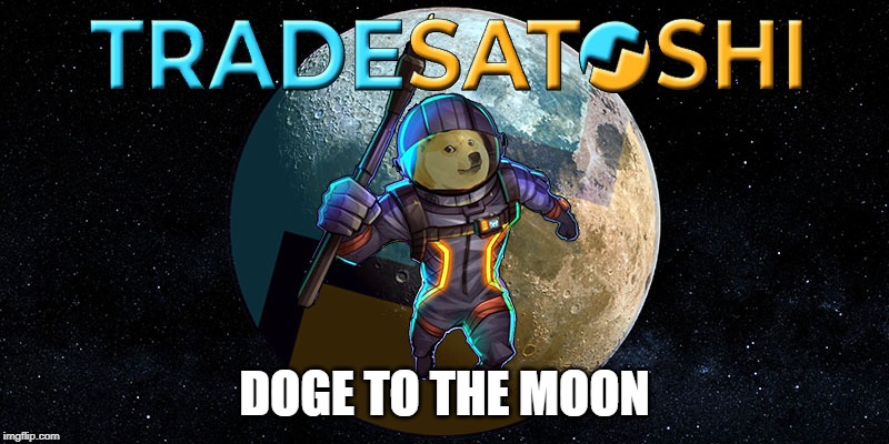 Tradesatoshi DOGE to the Moon | DOGE TO THE MOON | image tagged in tradesatoshi doge to the moon | made w/ Imgflip meme maker