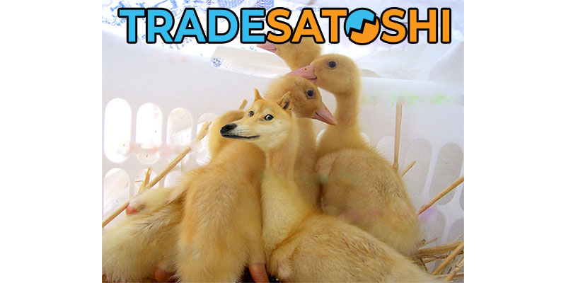 High Quality Tradesatoshi DOGE Blank Meme Template