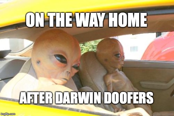 Aliens Car | ON THE WAY HOME; AFTER DARWIN DOOFERS | image tagged in aliens car | made w/ Imgflip meme maker