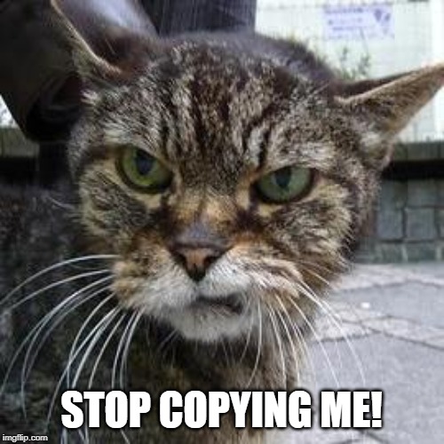 Angry Cat | STOP COPYING ME! | image tagged in angry cat | made w/ Imgflip meme maker