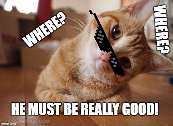 Curious Question Cat | WHERE? WHERE? HE MUST BE REALLY GOOD! | image tagged in curious question cat | made w/ Imgflip meme maker