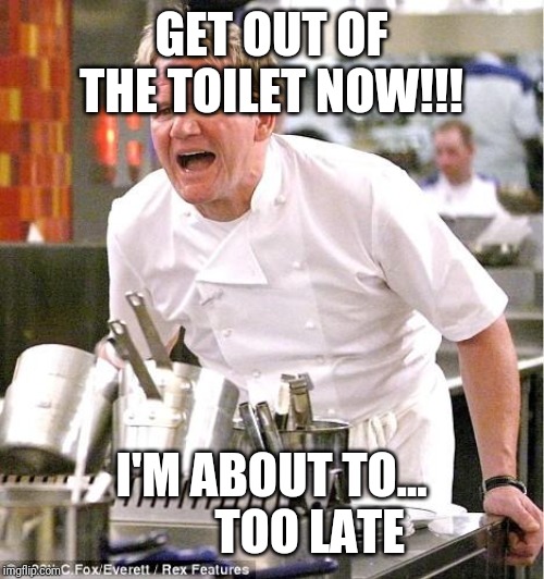 Chef Gordon Ramsay Meme | GET OUT OF THE TOILET NOW!!! I'M ABOUT TO...         TOO LATE | image tagged in memes,chef gordon ramsay | made w/ Imgflip meme maker