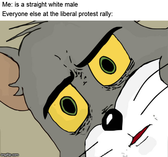 Reeeeeeeeee | Me: is a straight white male; Everyone else at the liberal protest rally: | image tagged in memes,unsettled tom,politics | made w/ Imgflip meme maker