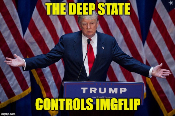 Donald Trump | THE DEEP STATE CONTROLS IMGFLIP | image tagged in donald trump | made w/ Imgflip meme maker
