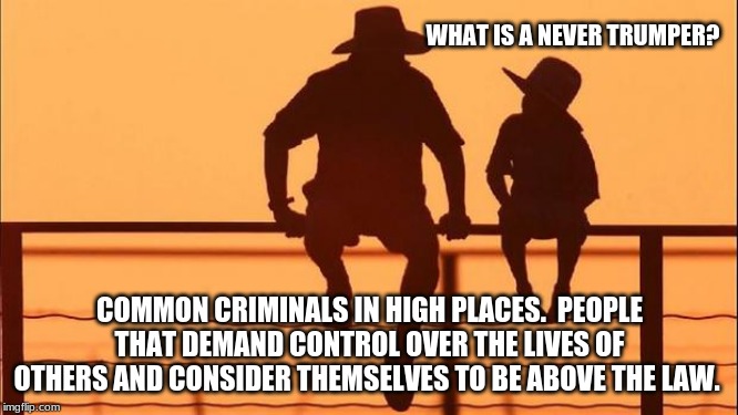Cowboy wisdom on the rights opinion of the left | WHAT IS A NEVER TRUMPER? COMMON CRIMINALS IN HIGH PLACES.  PEOPLE THAT DEMAND CONTROL OVER THE LIVES OF OTHERS AND CONSIDER THEMSELVES TO BE ABOVE THE LAW. | image tagged in cowboy father and son,cowboy wisdom,how we see you,the truth hurts,think it through snowflake i am right,never trumpers are huma | made w/ Imgflip meme maker
