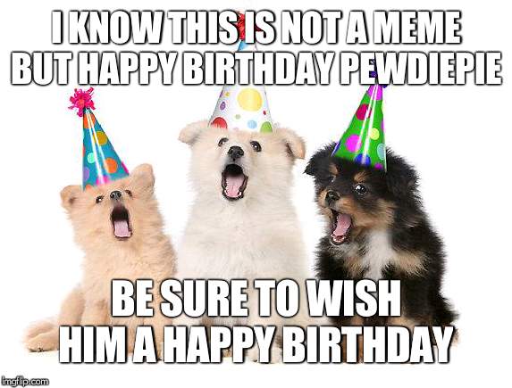 happy birthday puppies | I KNOW THIS IS NOT A MEME BUT HAPPY BIRTHDAY PEWDIEPIE; BE SURE TO WISH HIM A HAPPY BIRTHDAY | image tagged in happy birthday puppies | made w/ Imgflip meme maker