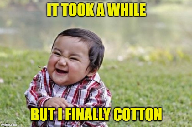 Evil Toddler Meme | IT TOOK A WHILE BUT I FINALLY COTTON | image tagged in memes,evil toddler | made w/ Imgflip meme maker