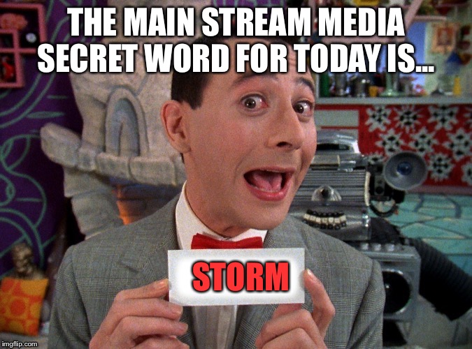 Pee Wee Secret Word | THE MAIN STREAM MEDIA SECRET WORD FOR TODAY IS... STORM | image tagged in pee wee secret word | made w/ Imgflip meme maker