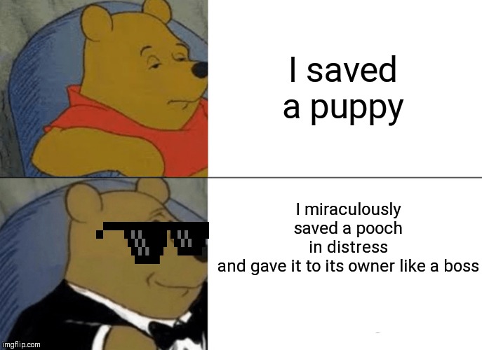 Tuxedo Winnie The Pooh | I saved a puppy; I miraculously saved a pooch in distress and gave it to its owner like a boss | image tagged in memes,tuxedo winnie the pooh | made w/ Imgflip meme maker