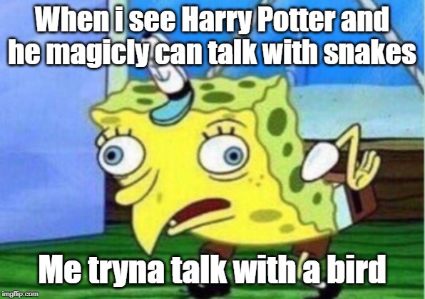 Mocking Spongebob Meme | When i see Harry Potter and he magicly can talk with snakes; Me tryna talk with a bird | image tagged in memes,mocking spongebob | made w/ Imgflip meme maker