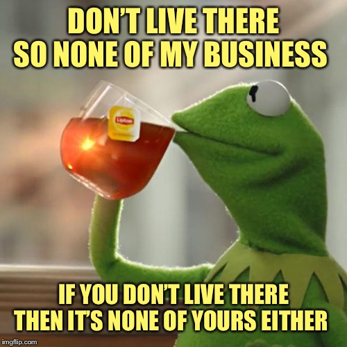 But That's None Of My Business Meme | DON’T LIVE THERE SO NONE OF MY BUSINESS IF YOU DON’T LIVE THERE THEN IT’S NONE OF YOURS EITHER | image tagged in memes,but thats none of my business,kermit the frog | made w/ Imgflip meme maker