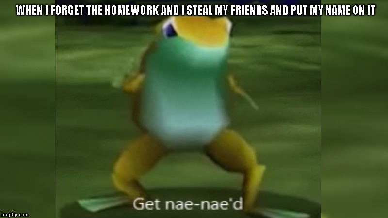 nae naed | WHEN I FORGET THE HOMEWORK AND I STEAL MY FRIENDS AND PUT MY NAME ON IT | image tagged in nae naed | made w/ Imgflip meme maker