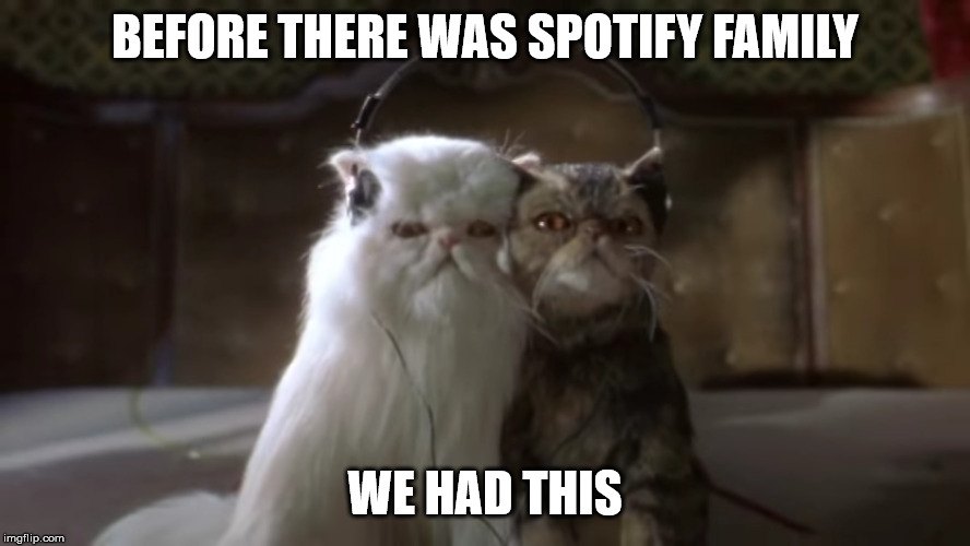 If Cats Had Your Spotify Account | BEFORE THERE WAS SPOTIFY FAMILY; WE HAD THIS | image tagged in spotify,cats,listening,music,movies | made w/ Imgflip meme maker
