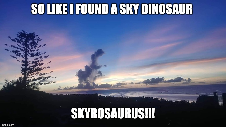 SO LIKE I FOUND A SKY DINOSAUR; SKYROSAURUS!!! | image tagged in dinosaur,sky | made w/ Imgflip meme maker