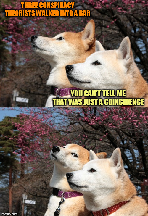 The truth is out there | THREE CONSPIRACY THEORISTS WALKED INTO A BAR; YOU CAN'T TELL ME THAT WAS JUST A COINCIDENCE | image tagged in bad pun dogs,memes,fun,conspiracy theory | made w/ Imgflip meme maker
