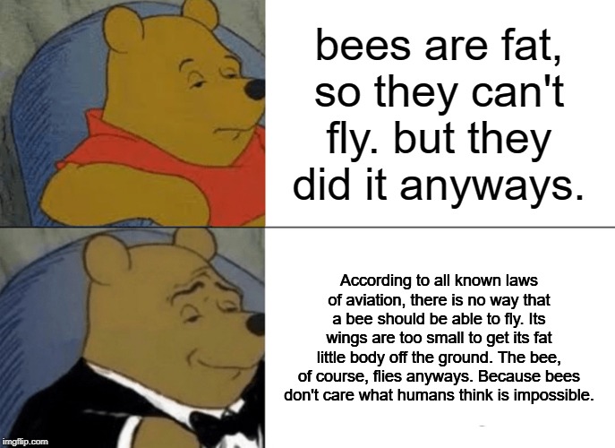 Tuxedo Winnie The Pooh Meme | bees are fat, so they can't fly. but they did it anyways. According to all known laws of aviation, there is no way that a bee should be able to fly. Its wings are too small to get its fat little body off the ground. The bee, of course, flies anyways. Because bees don't care what humans think is impossible. | image tagged in memes,tuxedo winnie the pooh | made w/ Imgflip meme maker