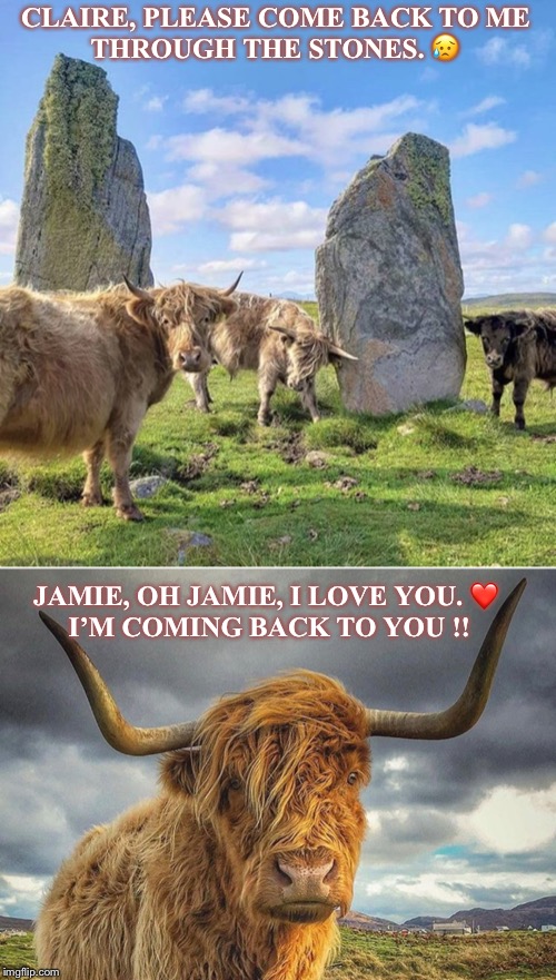 CLAIRE, PLEASE COME BACK TO ME

THROUGH THE STONES. 😥; JAMIE, OH JAMIE, I LOVE YOU. ❤️ 



I’M COMING BACK TO YOU !! | image tagged in the standing stones | made w/ Imgflip meme maker