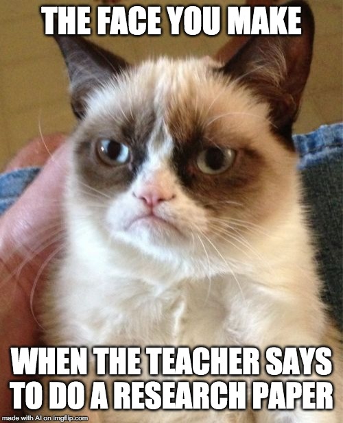 Grumpy Cat | THE FACE YOU MAKE; WHEN THE TEACHER SAYS TO DO A RESEARCH PAPER | image tagged in memes,grumpy cat | made w/ Imgflip meme maker