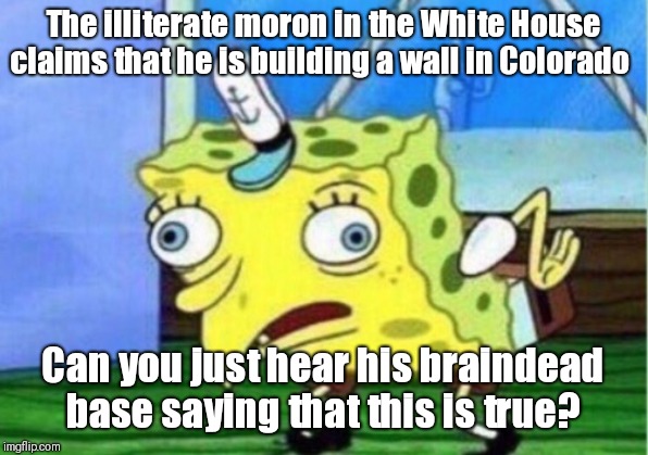 Mocking Spongebob | The illiterate moron in the White House claims that he is building a wall in Colorado; Can you just hear his braindead base saying that this is true? | image tagged in memes,mocking spongebob | made w/ Imgflip meme maker