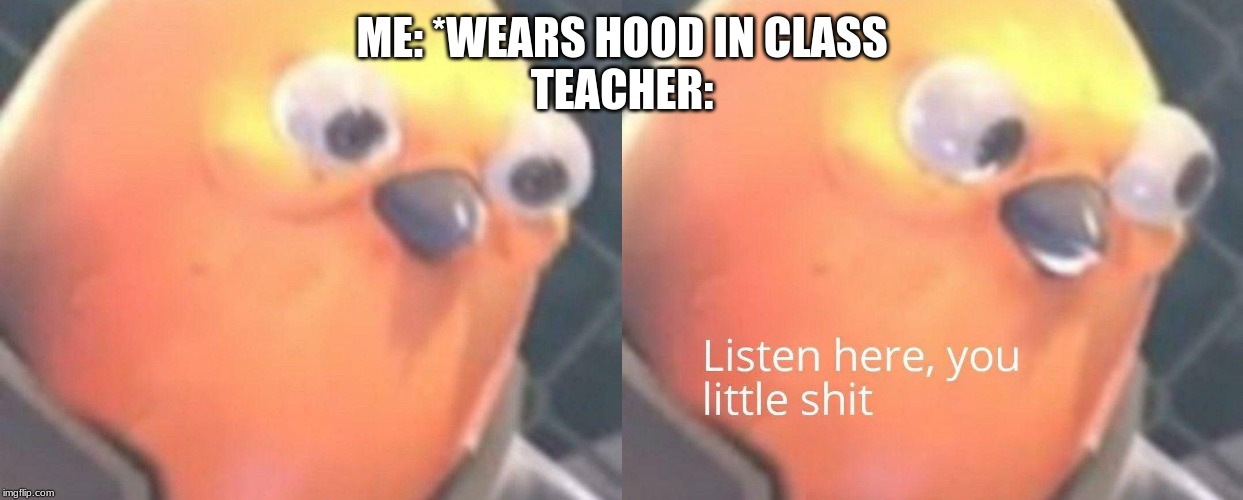 ME: *WEARS HOOD IN CLASS
TEACHER: | image tagged in memes,listen here you little shit | made w/ Imgflip meme maker