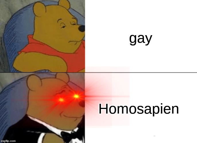 Tuxedo Winnie The Pooh | gay; Homosapien | image tagged in memes,tuxedo winnie the pooh | made w/ Imgflip meme maker