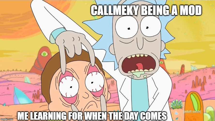 Rick and Morty Scam | CALLMEKY BEING A MOD; ME LEARNING FOR WHEN THE DAY COMES | image tagged in rick and morty scam | made w/ Imgflip meme maker