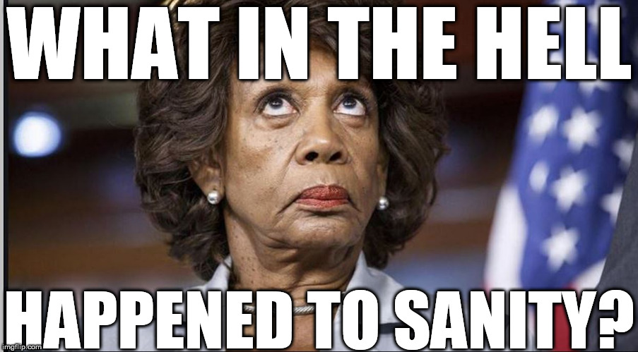 Max   Must   KNOW  it  COMPLETELY  EVADED HER! | WHAT IN THE HELL; HAPPENED TO SANITY? | image tagged in maxine waters,sanity,wth,what happened,to | made w/ Imgflip meme maker