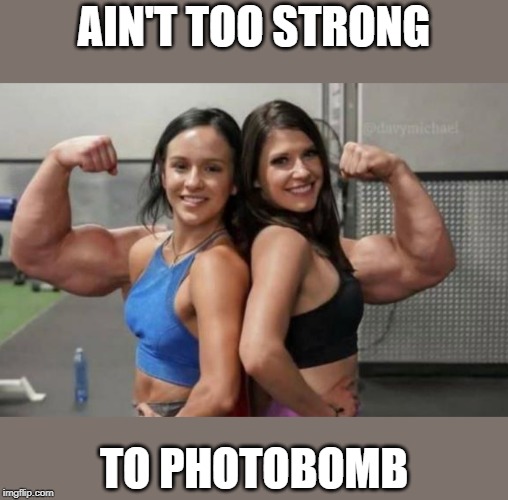 AIN'T TOO STRONG; TO PHOTOBOMB | made w/ Imgflip meme maker