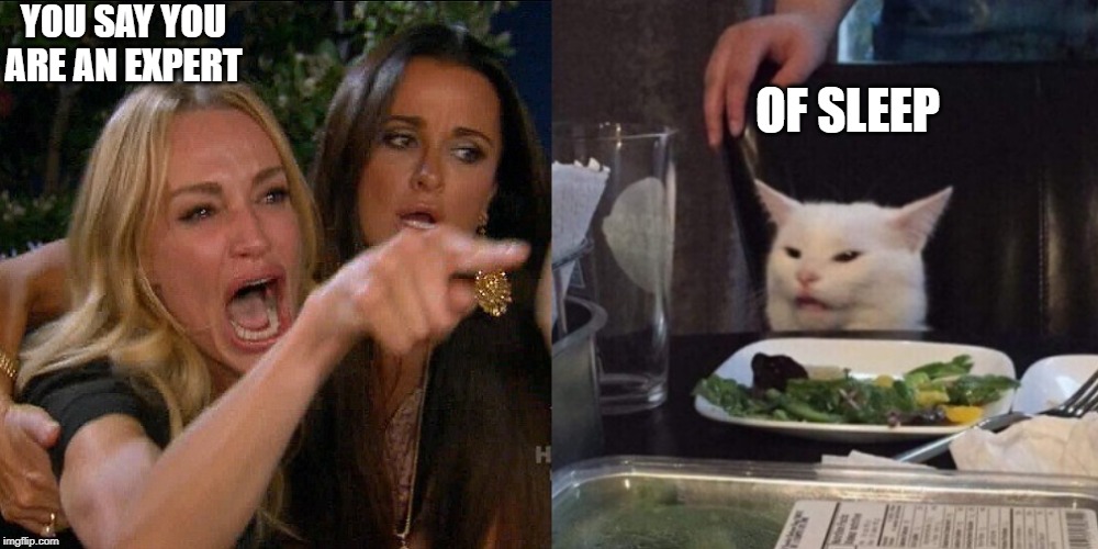 Woman yelling at cat | YOU SAY YOU ARE AN EXPERT; OF SLEEP | image tagged in woman yelling at cat | made w/ Imgflip meme maker