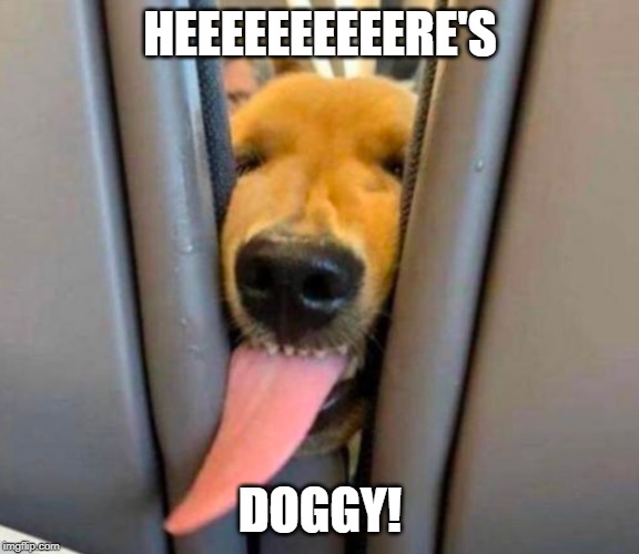 HEEEEEEEEEERE'S; DOGGY! | made w/ Imgflip meme maker