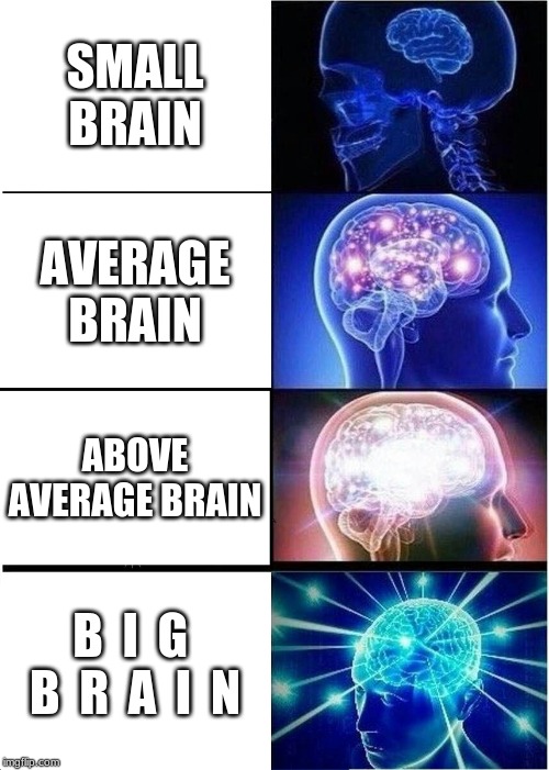 Expanding Brain Meme | SMALL BRAIN; AVERAGE BRAIN; ABOVE AVERAGE BRAIN; B  I  G  B  R  A  I  N | image tagged in memes,expanding brain | made w/ Imgflip meme maker