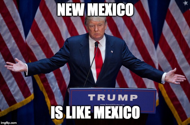 Donald Trump | NEW MEXICO IS LIKE MEXICO | image tagged in donald trump | made w/ Imgflip meme maker