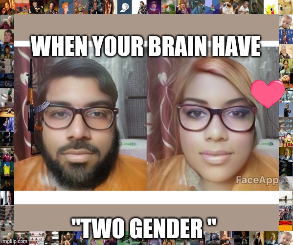 WHEN YOUR BRAIN HAVE; "TWO GENDER " | made w/ Imgflip meme maker