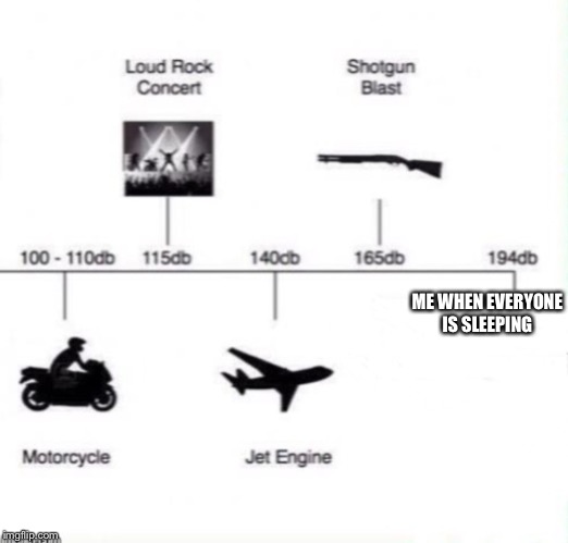 Noise level | ME WHEN EVERYONE IS SLEEPING | image tagged in noise | made w/ Imgflip meme maker