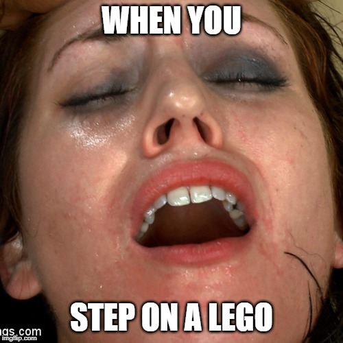 Sarah Shevon | WHEN YOU; STEP ON A LEGO | image tagged in sarah shevon | made w/ Imgflip meme maker