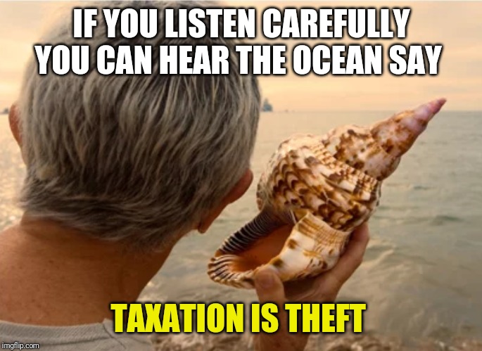 I hear it every day | IF YOU LISTEN CAREFULLY YOU CAN HEAR THE OCEAN SAY; TAXATION IS THEFT | image tagged in conch shell,taxation is theft,libertarian,taxed to death | made w/ Imgflip meme maker