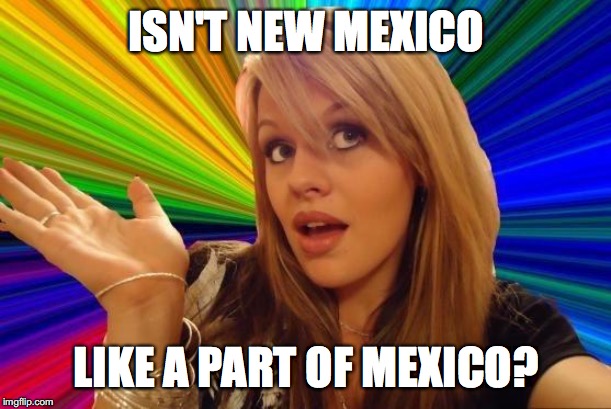 Dumb Blonde Meme | ISN'T NEW MEXICO LIKE A PART OF MEXICO? | image tagged in memes,dumb blonde | made w/ Imgflip meme maker