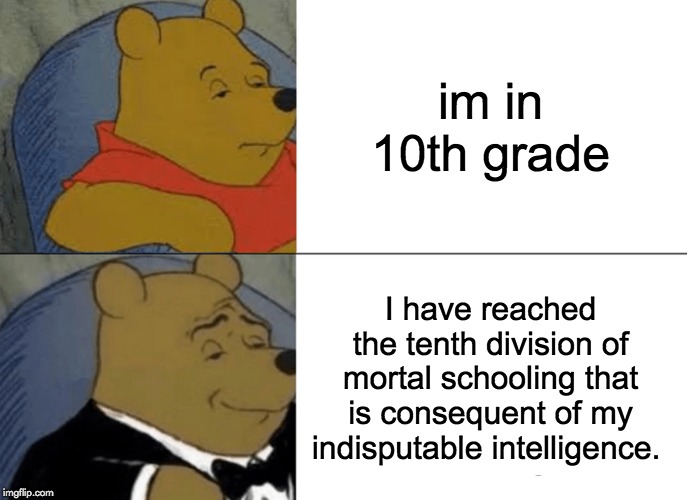 Tuxedo Winnie The Pooh | im in 10th grade; I have reached the tenth division of mortal schooling that is consequent of my indisputable intelligence. | image tagged in memes,tuxedo winnie the pooh | made w/ Imgflip meme maker