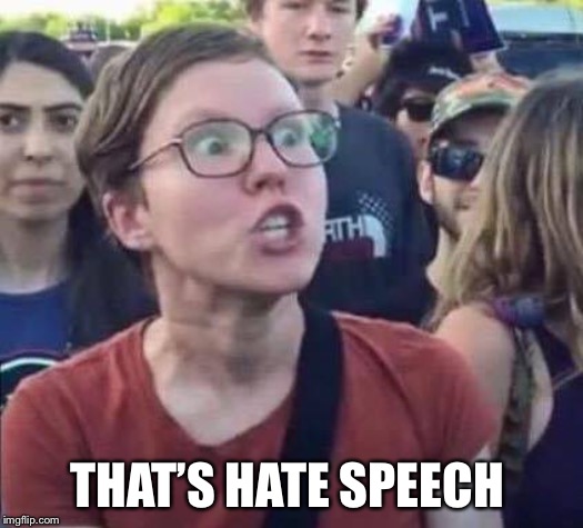 Angry Liberal | THAT’S HATE SPEECH | image tagged in angry liberal | made w/ Imgflip meme maker