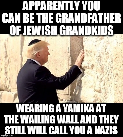 Nazis fail | APPARENTLY YOU CAN BE THE GRANDFATHER OF JEWISH GRANDKIDS WEARING A YAMIKA AT THE WAILING WALL AND THEY STILL WILL CALL YOU A NAZIS | image tagged in nazis fail | made w/ Imgflip meme maker