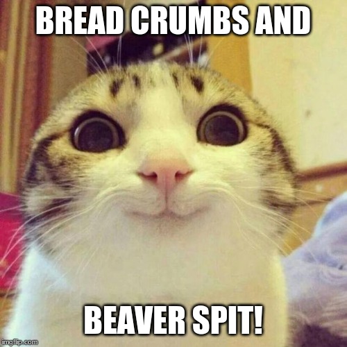 Smiling Cat Meme | BREAD CRUMBS AND BEAVER SPIT! | image tagged in memes,smiling cat | made w/ Imgflip meme maker