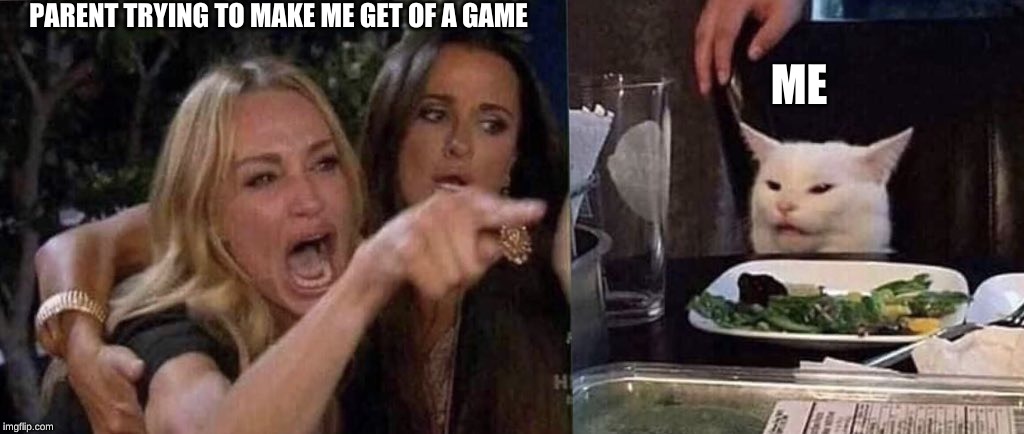woman yelling at cat | PARENT TRYING TO MAKE ME GET OF A GAME; ME | image tagged in woman yelling at cat | made w/ Imgflip meme maker