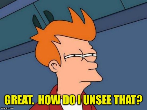 Futurama Fry Meme | GREAT.  HOW DO I UNSEE THAT? | image tagged in memes,futurama fry | made w/ Imgflip meme maker