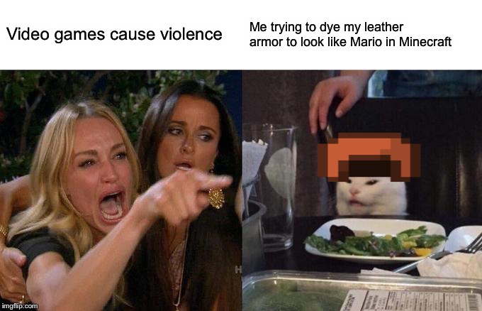 Woman Yelling At Cat | Video games cause violence; Me trying to dye my leather armor to look like Mario in Minecraft | image tagged in memes,woman yelling at a cat | made w/ Imgflip meme maker